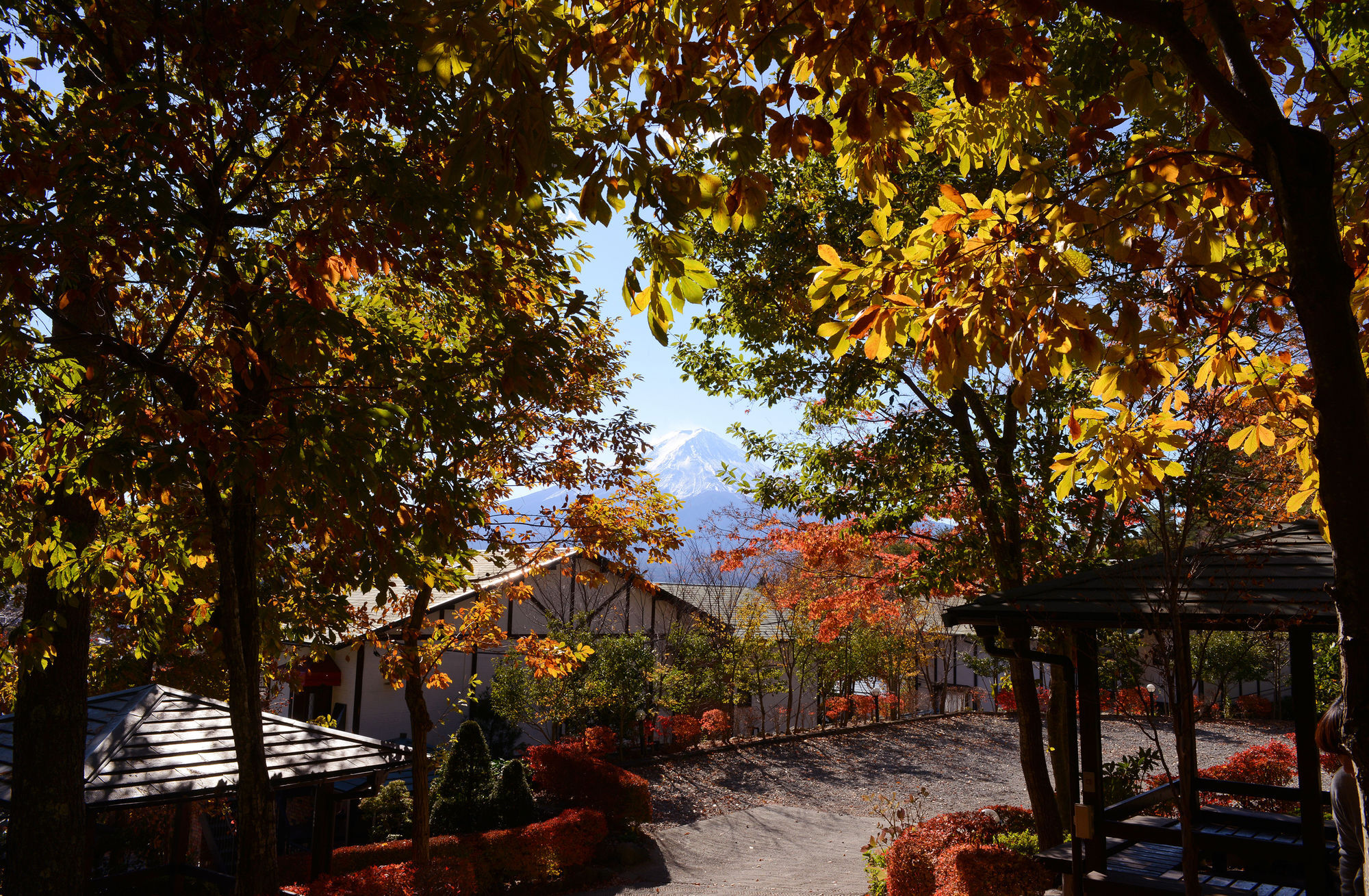Kawaguchiko Country Cottage Ban Fujikawaguchiko Dış mekan fotoğraf