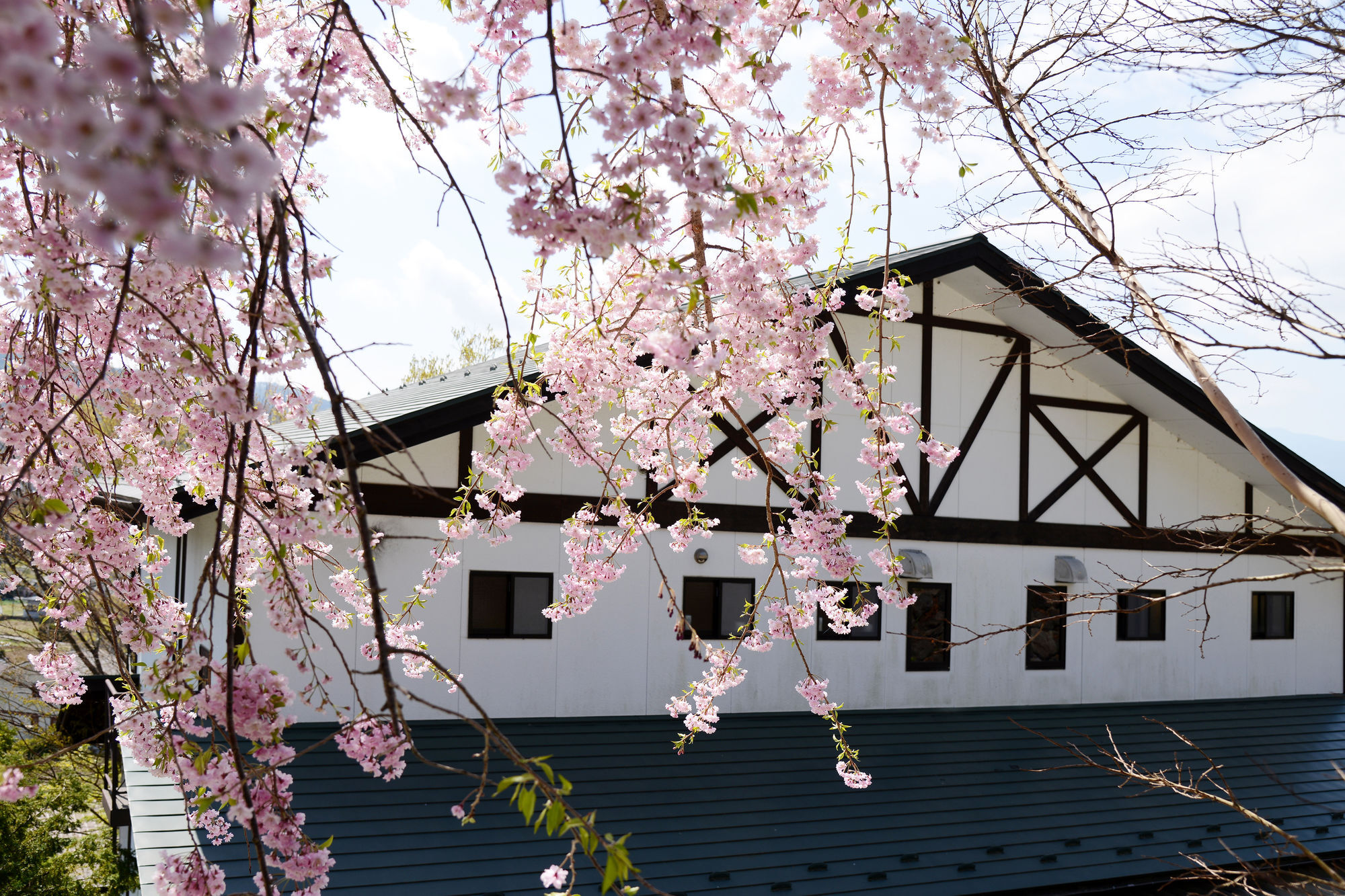 Kawaguchiko Country Cottage Ban Fujikawaguchiko Dış mekan fotoğraf