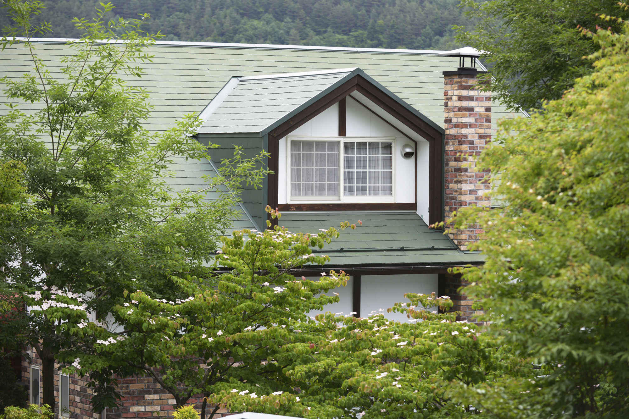 Kawaguchiko Country Cottage Ban Fujikawaguchiko Dış mekan fotoğraf